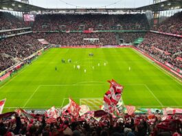 1. FC Köln gegen SV Elversberg Foto @Stadionkind schoti75