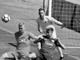 Thomas Kessler im Tor des 1.FC Köln beim WSV in Wuppertal