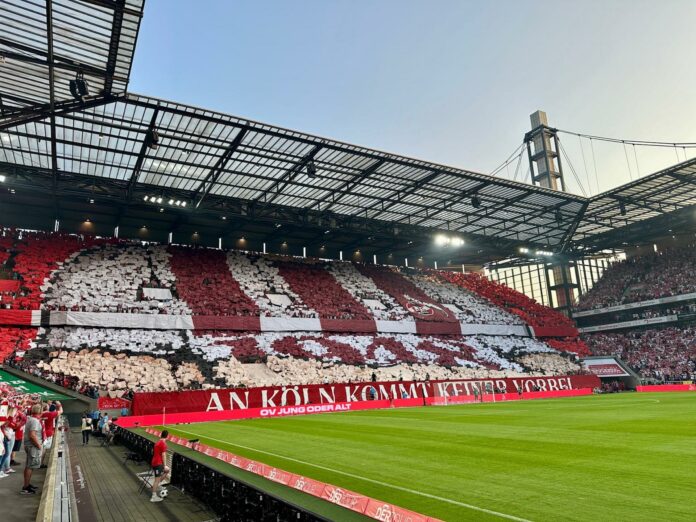 1. FC Köln gegen HSV Foto @ Markus