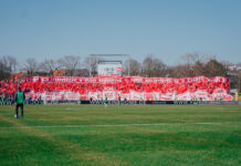 SSV Ulm gegen 1. FC Köln Choreo der FC Fans Foto (c) Stadionkind @gelbster