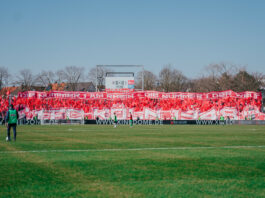 SSV Ulm gegen 1. FC Köln Choreo der FC Fans Foto (c) Stadionkind @gelbster