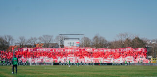 SSV Ulm gegen 1. FC Köln Choreo der FC Fans Foto (c) Stadionkind @gelbster